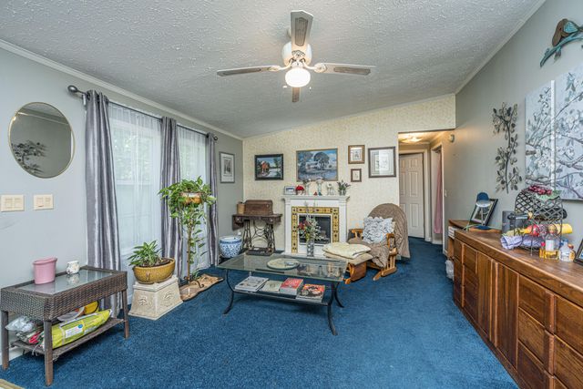 253 Winter Drive, Cottageville, SC 29435