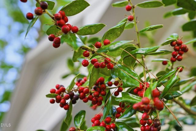 5234 N Willowhaven Drive, Durham, NC 27712