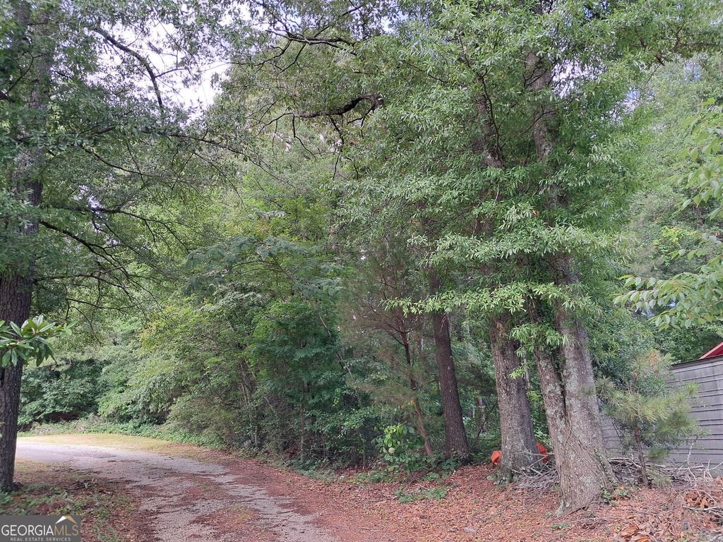 0 Decatur Road, Ellenwood, GA 30294