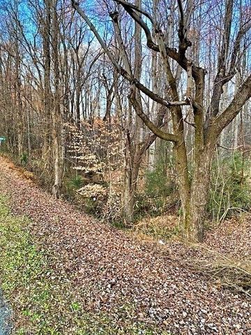 0 Gravitte Road, Roxboro, NC 27573