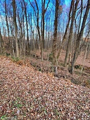 0 Gravitte Road, Roxboro, NC 27573