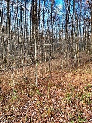 0 Gravitte Road, Roxboro, NC 27573