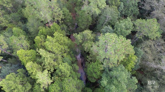 0 Dry Branch Lane, Robertsdale, AL 36567
