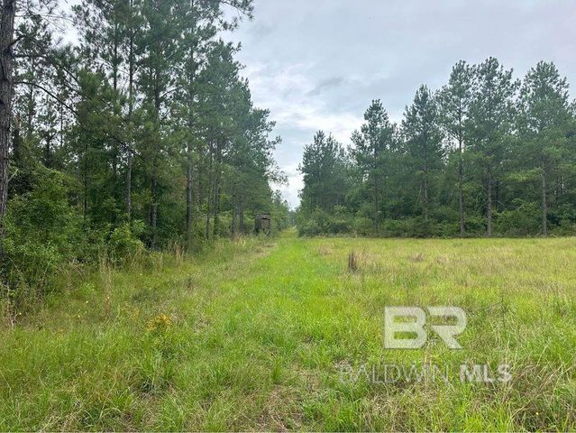 0 Dry Branch Lane, Robertsdale, AL 36567