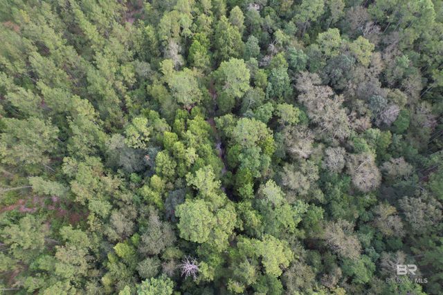 0 Dry Branch Lane, Robertsdale, AL 36567