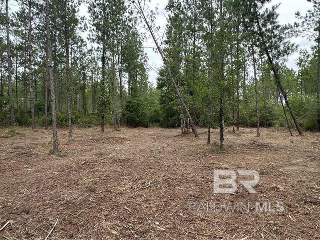0 Dry Branch Lane, Robertsdale, AL 36567