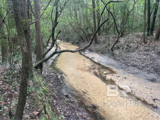 0 Dry Branch Lane, Robertsdale, AL 36567