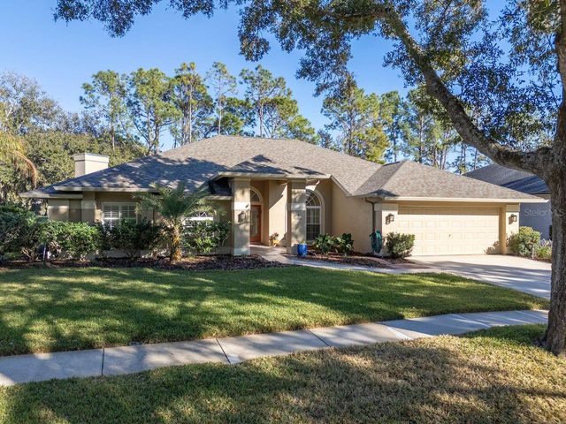 3910 TURKEY OAK DRIVE, Valrico, FL 33596
