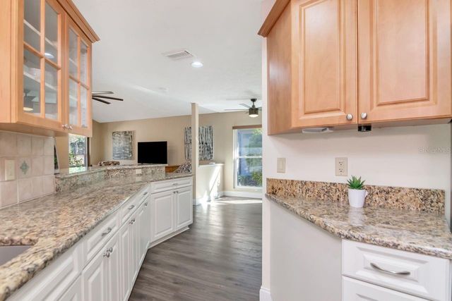 3910 TURKEY OAK DRIVE, Valrico, FL 33596