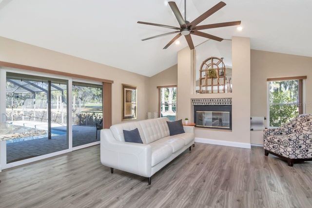 3910 TURKEY OAK DRIVE, Valrico, FL 33596