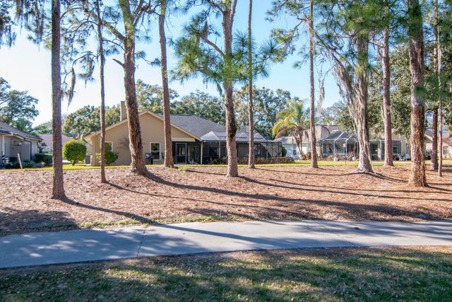 3910 TURKEY OAK DRIVE, Valrico, FL 33596