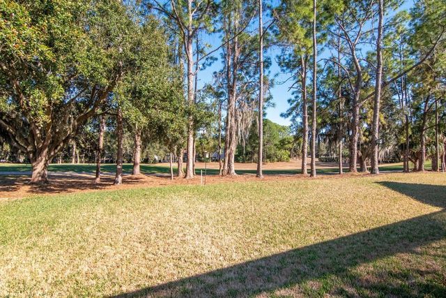 3910 TURKEY OAK DRIVE, Valrico, FL 33596