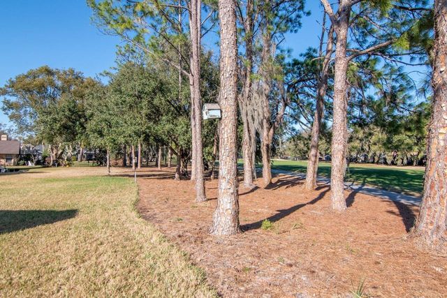 3910 TURKEY OAK DRIVE, Valrico, FL 33596