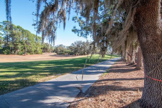 3910 TURKEY OAK DRIVE, Valrico, FL 33596