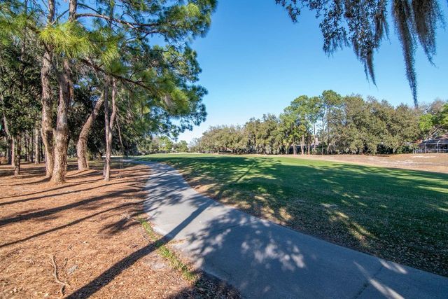 3910 TURKEY OAK DRIVE, Valrico, FL 33596