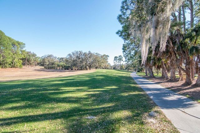 3910 TURKEY OAK DRIVE, Valrico, FL 33596