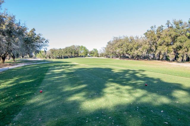 3910 TURKEY OAK DRIVE, Valrico, FL 33596