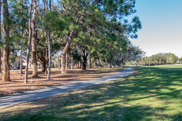 3910 TURKEY OAK DRIVE, Valrico, FL 33596