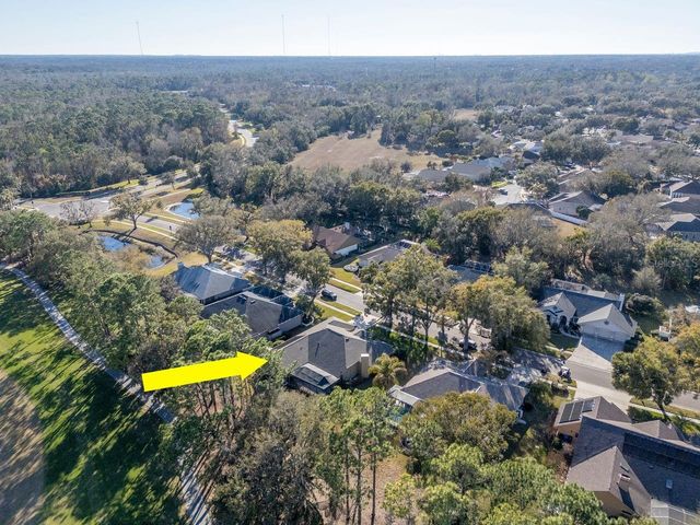 3910 TURKEY OAK DRIVE, Valrico, FL 33596