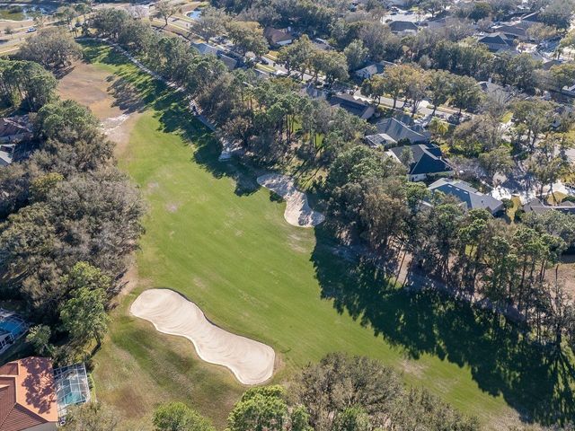 3910 TURKEY OAK DRIVE, Valrico, FL 33596