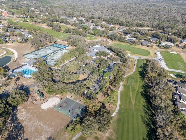 3910 TURKEY OAK DRIVE, Valrico, FL 33596