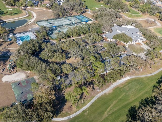 3910 TURKEY OAK DRIVE, Valrico, FL 33596