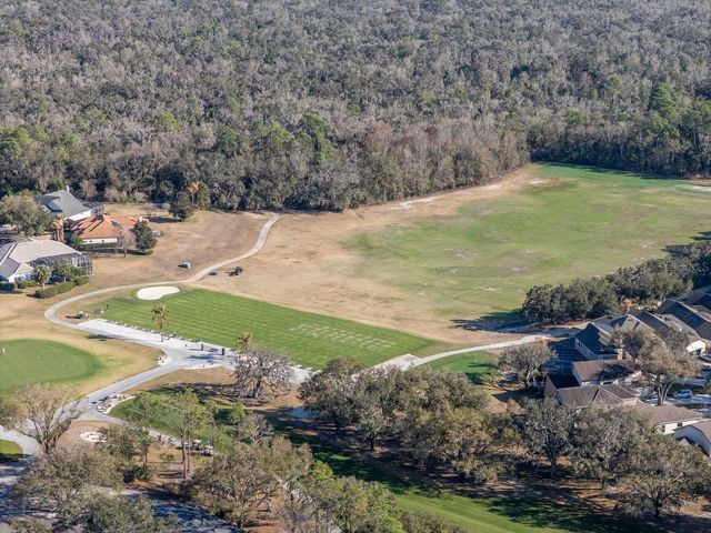 3910 TURKEY OAK DRIVE, Valrico, FL 33596