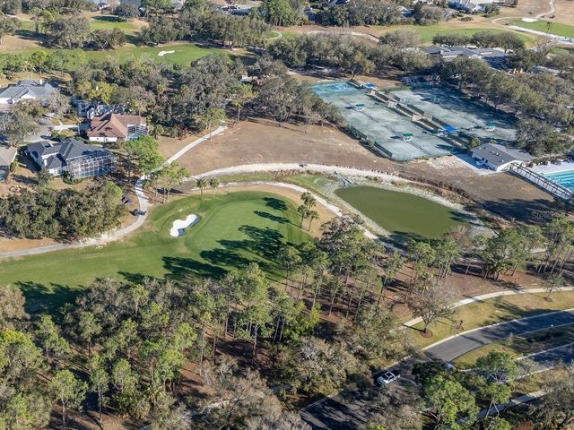 3910 TURKEY OAK DRIVE, Valrico, FL 33596