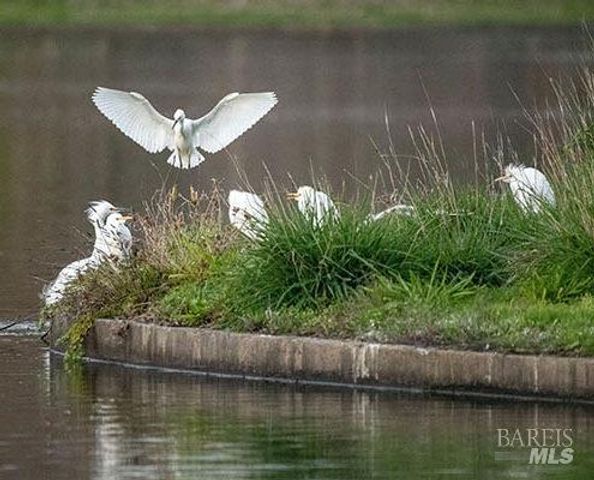 9211 Lakewood Dr, Windsor, CA 95492