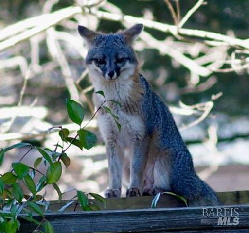 9211 Lakewood Dr, Windsor, CA 95492