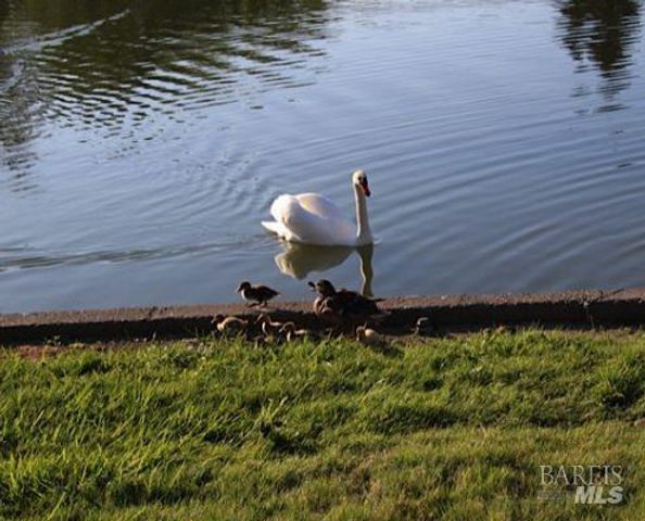 9211 Lakewood Dr, Windsor, CA 95492