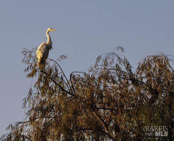 9211 Lakewood Dr, Windsor, CA 95492