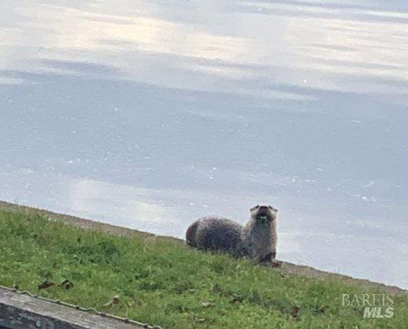 9211 Lakewood Dr, Windsor, CA 95492