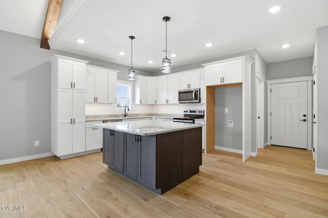 133 Dry Kiln Court, Gray, TN 37615