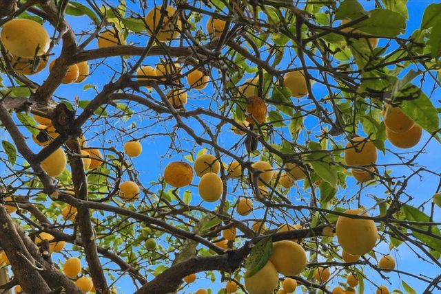 799 Borregas Avenue, Sunnyvale, CA 94085