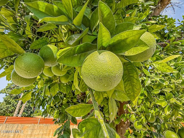 7530 Gaviota Avenue, Van Nuys, CA 91406