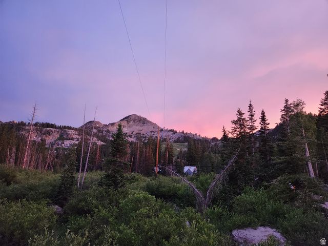 8101 S MILLICENTVIEW LN, Brighton, UT 84121