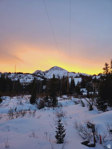 8101 S MILLICENTVIEW LN, Brighton, UT 84121