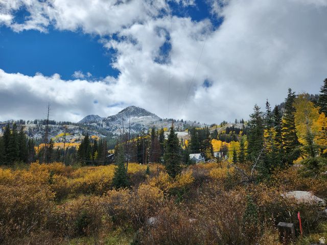 8101 S MILLICENTVIEW LN, Brighton, UT 84121