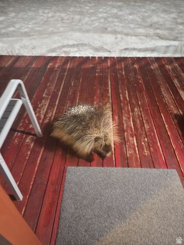 8101 S MILLICENTVIEW LN, Brighton, UT 84121