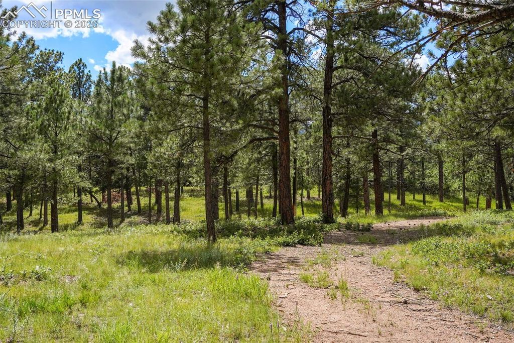 325 Pine Oaks Road, Colorado Springs, CO 80926 — photo 4