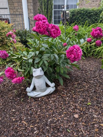 1003 Thistle Ct, Hendersonville, TN 37075