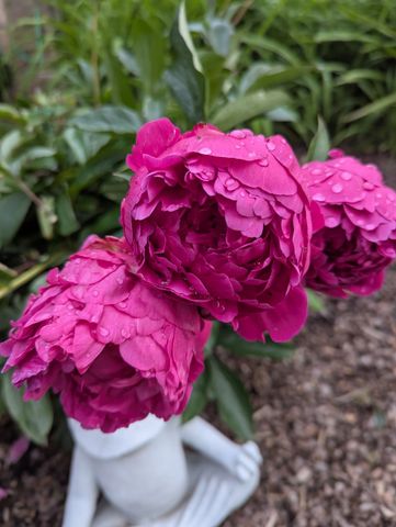 1003 Thistle Ct, Hendersonville, TN 37075