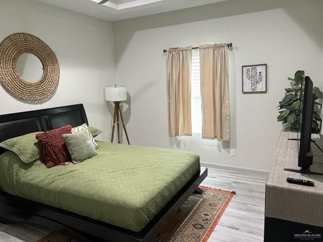 1343 13th Street, Alamo, TX 78516