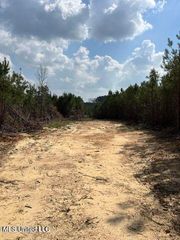 0 Honeysucker Road, Camden, MS 39045