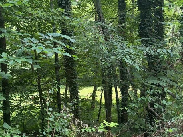 7303 W Division Road, Bargersville, IN 46106