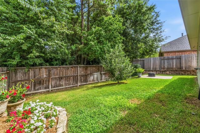 162 Climbing Oaks Place, Montgomery, TX 77316
