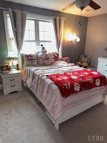 193 Stoney Creek Drive, Madison Heights, VA 24572