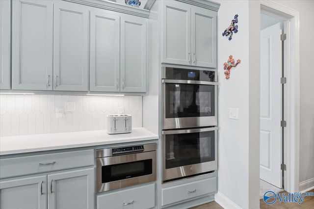 8098 Goose Ridge Drive, Owens Cross Roads, AL 35763