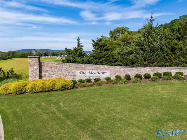 8098 Goose Ridge Drive, Owens Cross Roads, AL 35763